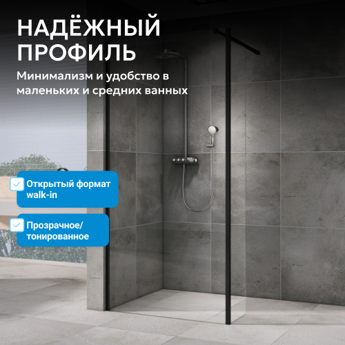 Душевая перегородка 120x200  ABBER Immer Offen AG69123BS фото 4