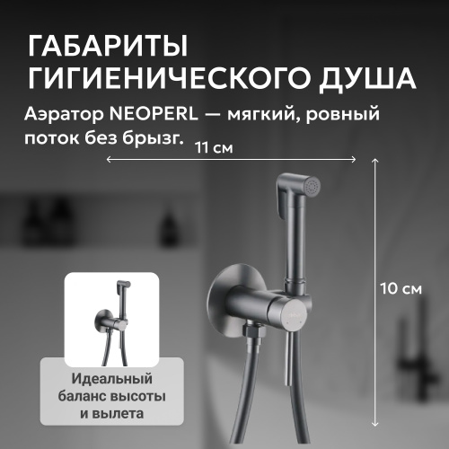 Встраиваемый смеситель с гигиеническим душем, никель ABBER Wasser Kreis AF8125NG фото 7
