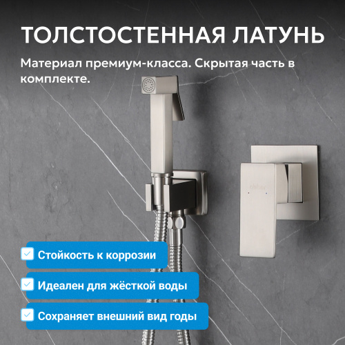 Встраиваемый смеситель с гигиеническим душем, сатин ABBER Daheim AF8225SP фото 7