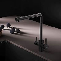 Смеситель для кухни с L-изливом с каналом для питьевой воды, черный AM.PM X-Joy S F85B05722