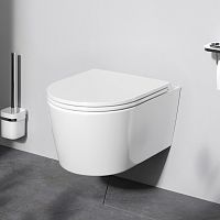 Унитаз подвесной FlashClean с сиденьем микролифт AM.PM Func C8F1700SC