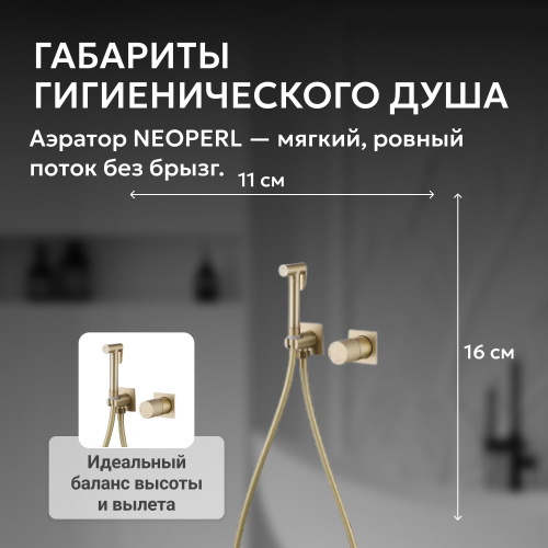 Встраиваемый смеситель с гигиеническим душем, золото матовое ABBER Rund AF8725G фото 7