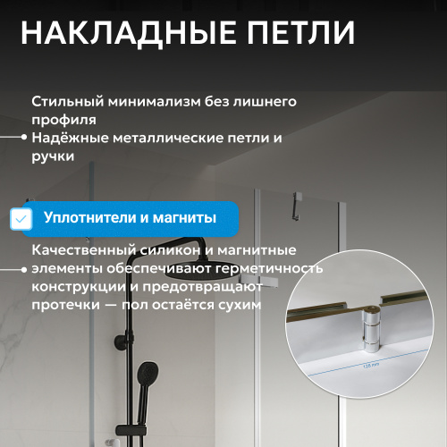 Душевой уголок 90х100 ABBER Zart AG08090-S101 фото 5