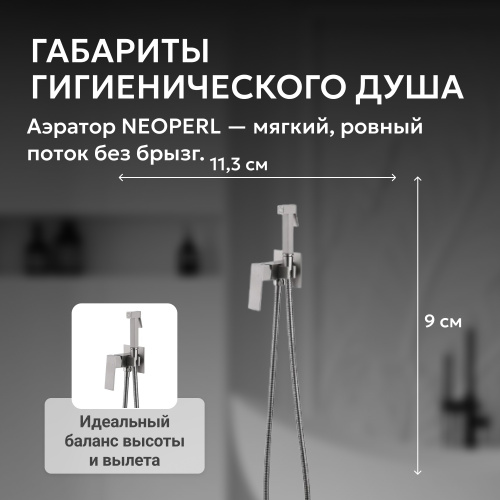 Встраиваемый смеситель с гигиеническим душем, сатин ABBER Daheim AF8226SP фото 8