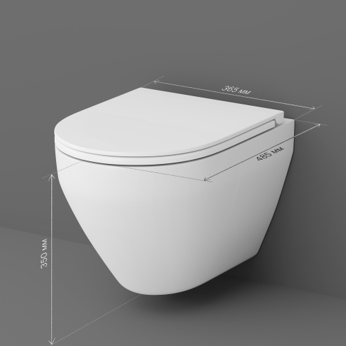 Унитаз подвесной FlashClean с сиденьем микролифт AM.PM Spirit V2.0 C701700SC фото 10