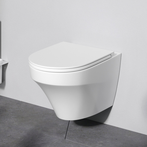 Унитаз подвесной FlashClean AM.PM Inspire C501700WH