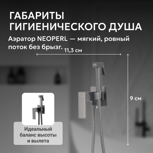 Встраиваемый смеситель с гигиеническим душем, никель ABBER Daheim AF8226NG фото 7