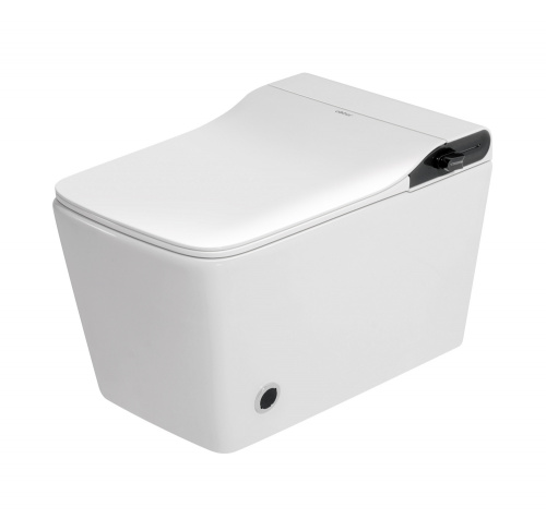 Комплект  подвесной электронный унитаз-биде Rechteck AC1215S с инсталляцией AC0101P2 смыв импульсный фото 19