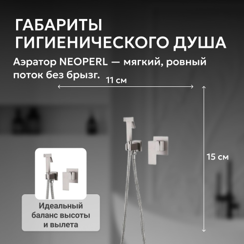 Встраиваемый смеситель с гигиеническим душем, сатин ABBER Daheim AF8225SP фото 8